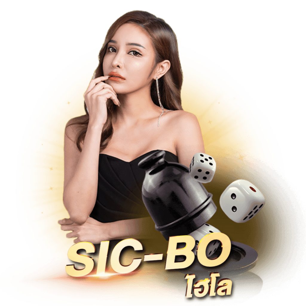 banner-ไฮโล